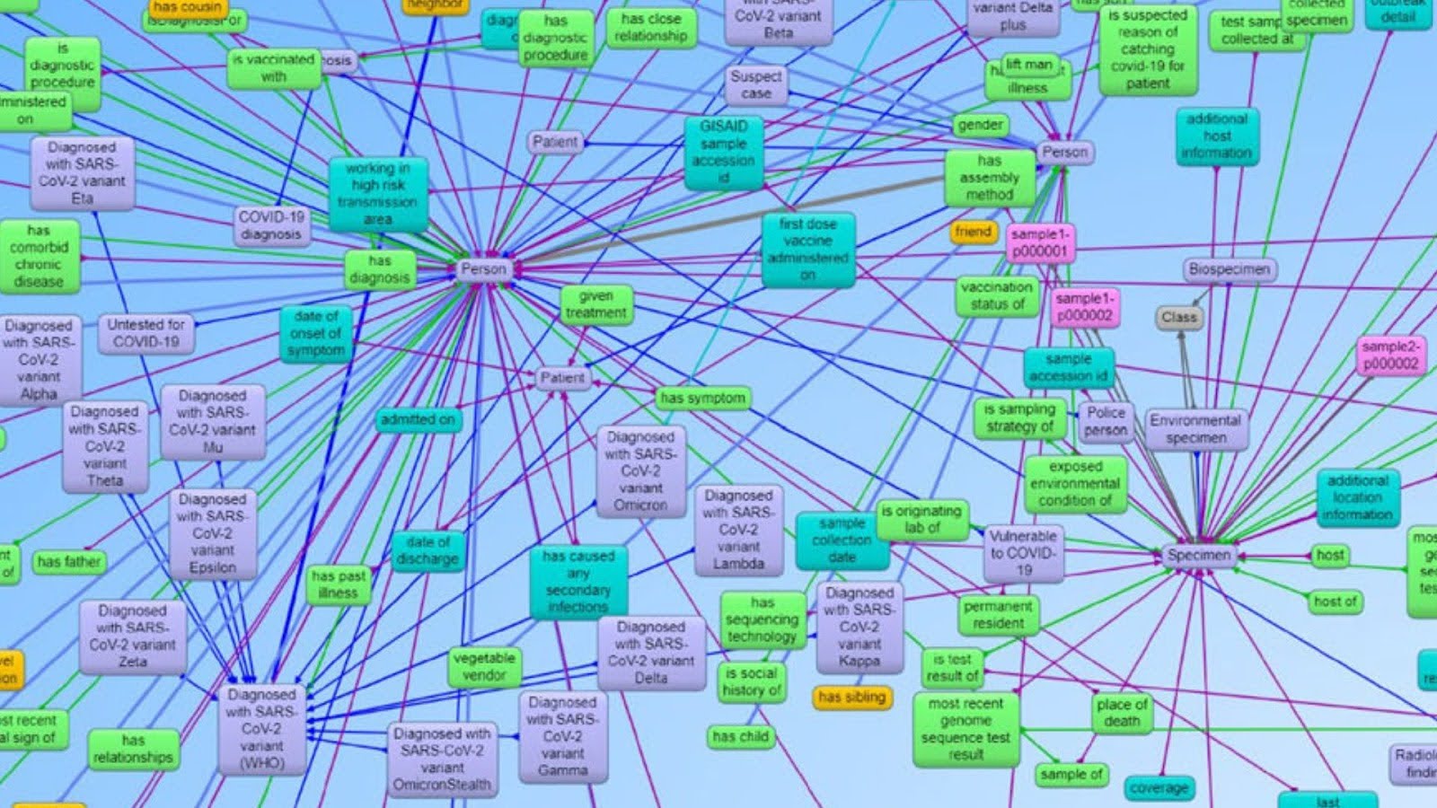 New digital map helps scientists and health professionals track COVID-19 mutations